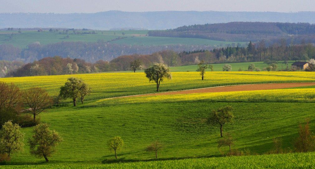 Blick über Hohenlohe