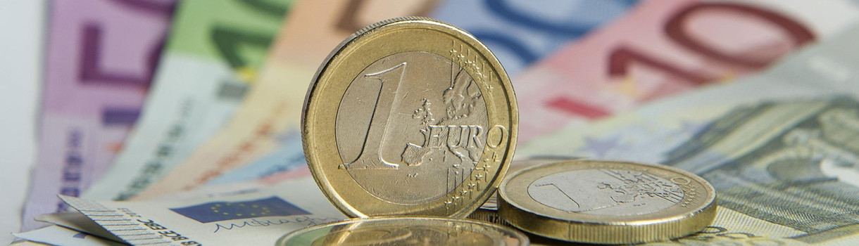 Euro-Banknoten und -Münzen (Foto: © dpa)