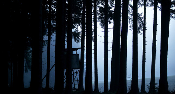 Ein Jäger-Hochsitz zeichnet sich in einem Wald vor einer im Nebel liegenden Lichtung ab. (Bild: dpa)