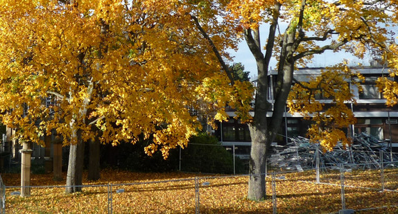 Abriss des asbestbelasteten Erweiterungsbaus neben der Villa Reitzenstein