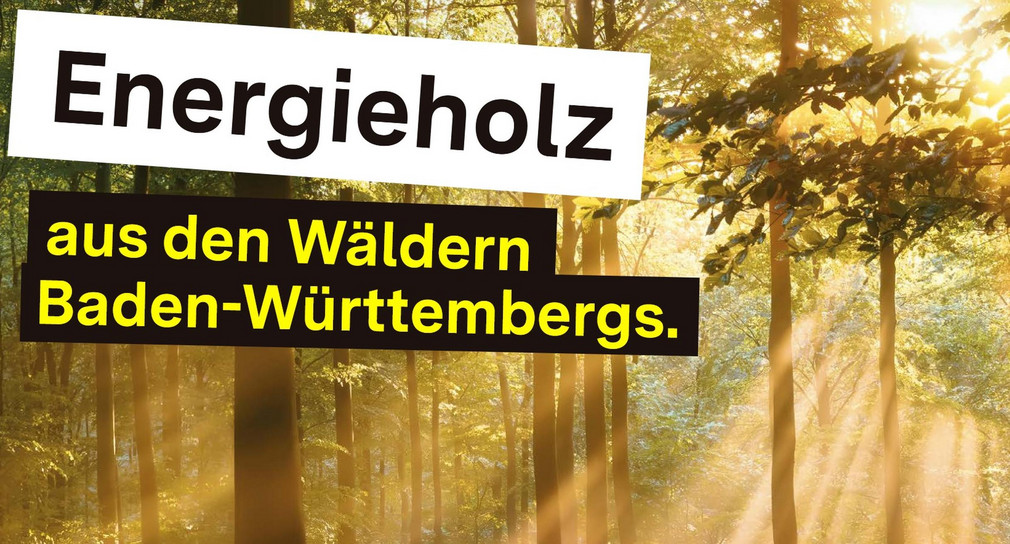 Kampagnenplakat "Energieholz aus den Wäldern Baden-Württembergs"