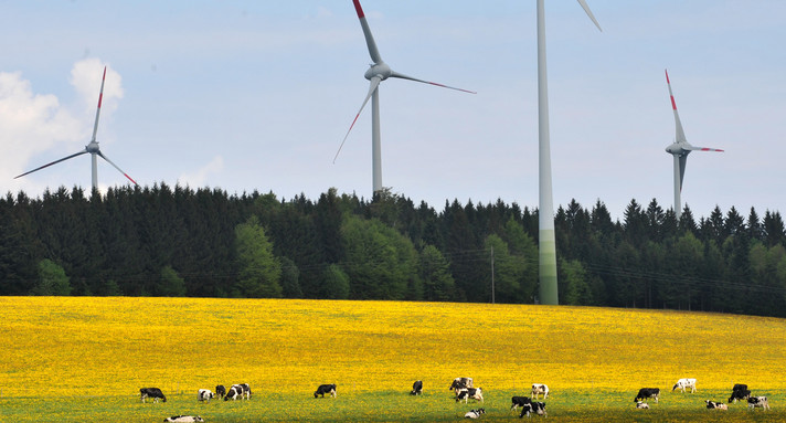 Windräder drehen bei St. Peter im Hochschwarzwald im Wind (Bild: dpa).