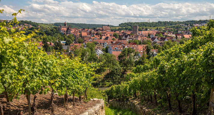 Blick aus der Landschaft auf die Häuser der Stadt Besigheim