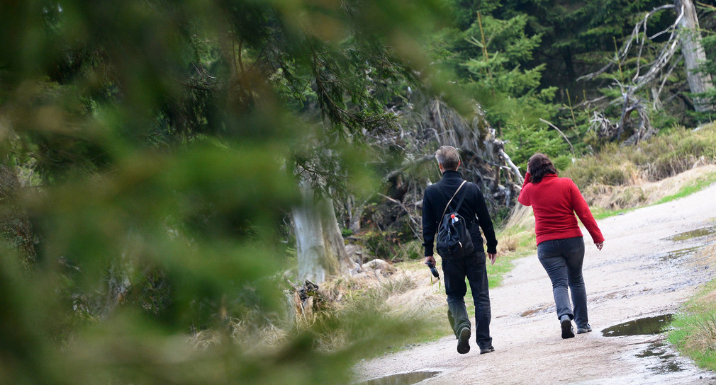 Zwei Spaziergänger gehen durch den nördlichen Schwarzwald. (Foto: dpa)