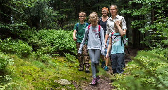 Eine Familie wandert durch den Nationalpark Schwarzwald.