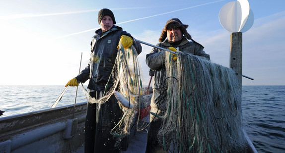 Fischer fischen im Bodensee (Foto: dpa)