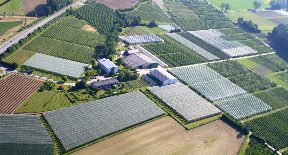 Obstbau Bodensee
