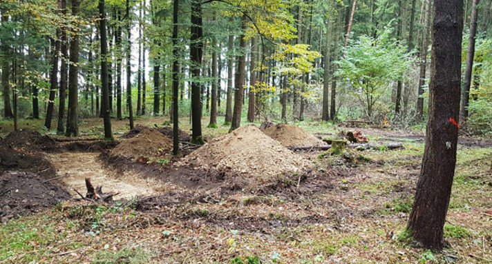 Archäophysikalische Messungen auf der Erweiterungsfläche (Quelle: Vermögen und Bau Baden-Württemberg, Amt Konstanz) 