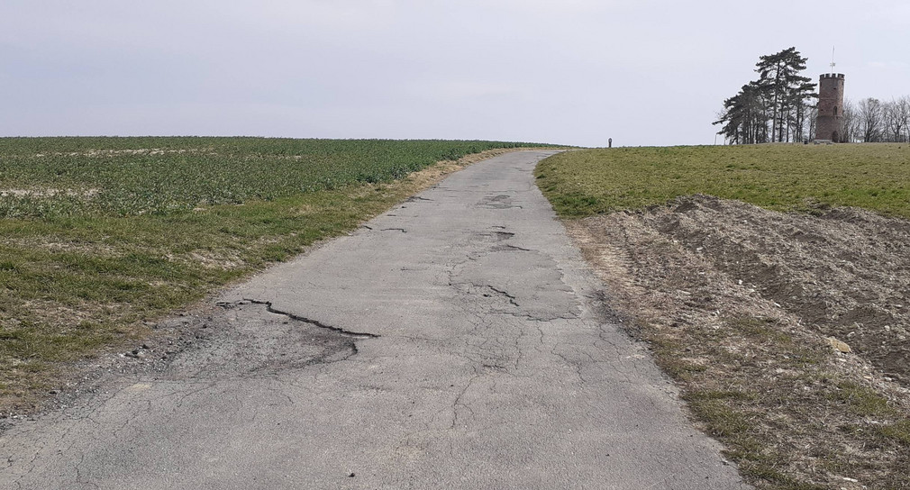 Flurneuordnung Buchen (Multiweg Am Wartberg)