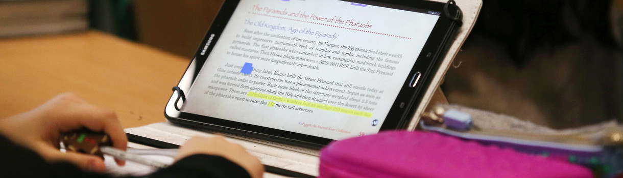 Ein Schüler arbeitet mit einem iPad im digitalen Unterricht. (Bild: picture alliance/Ina Fassbender/dpa)