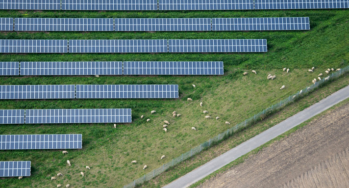 Symbolbild: Schafe grasen neben einem großen Feld mit Solaranlagen. (Bild: Julian Stratenschulte / dpa)