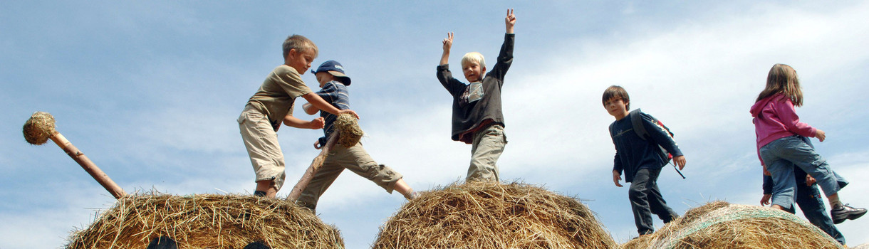 Kinder spielen und tollen auf einer aus Strohballen gebauten Raupe. (Bild: © dpa)