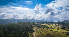Blick auf den Nationalpark Schwarzwald